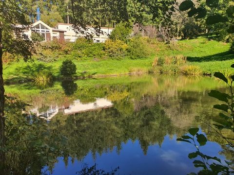 Dpt Vosges (88), à vendre proche REMIREMONT - PROPRIÉTÉ PLAIN-PIED idéal GITE DE GROUPE avec ETANG