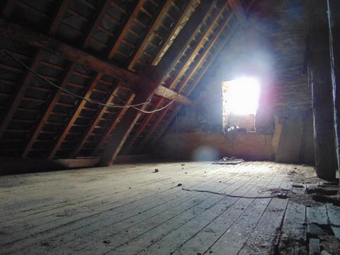 photo no. 6