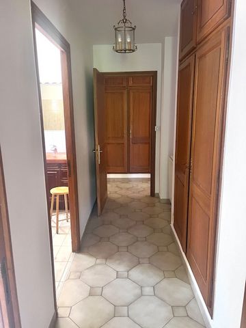 photo no. 12