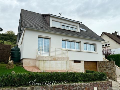 photo no. 19