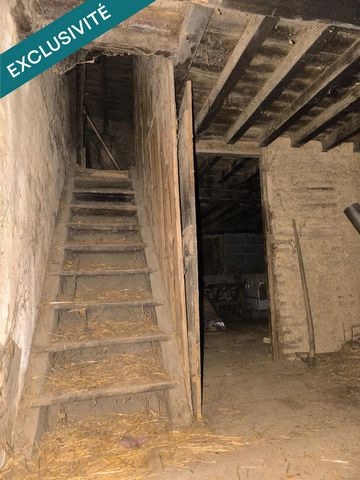 photo no. 5